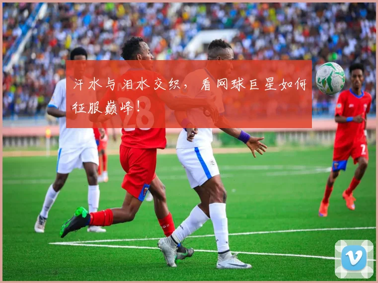 汗水与泪水交织，看网球巨星如何征服巅峰！